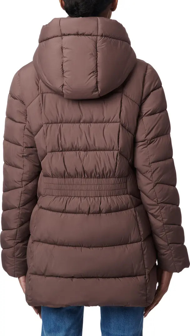 Hooded Puffer Jacket with Bib | Nordstrom