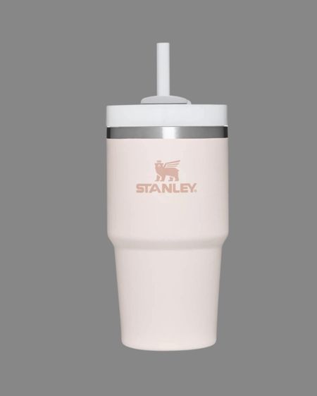 STANLEY The Quencher H2.0 FlowState Tumbler | 20 OZ Rose Quartz



#LTKfitness #LTKhome #LTKfindsunder50