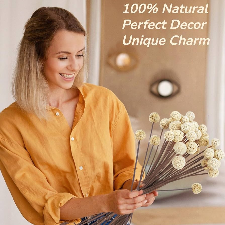 30 PCS Natural Dried Craspedia Billy Balls Flowers, 17” Dried White Flowers Buttons Bouquet for... | Amazon (US)
