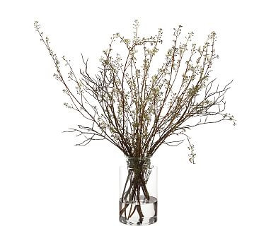 Faux Berry Branches In Glass Vase | Pottery Barn (US)