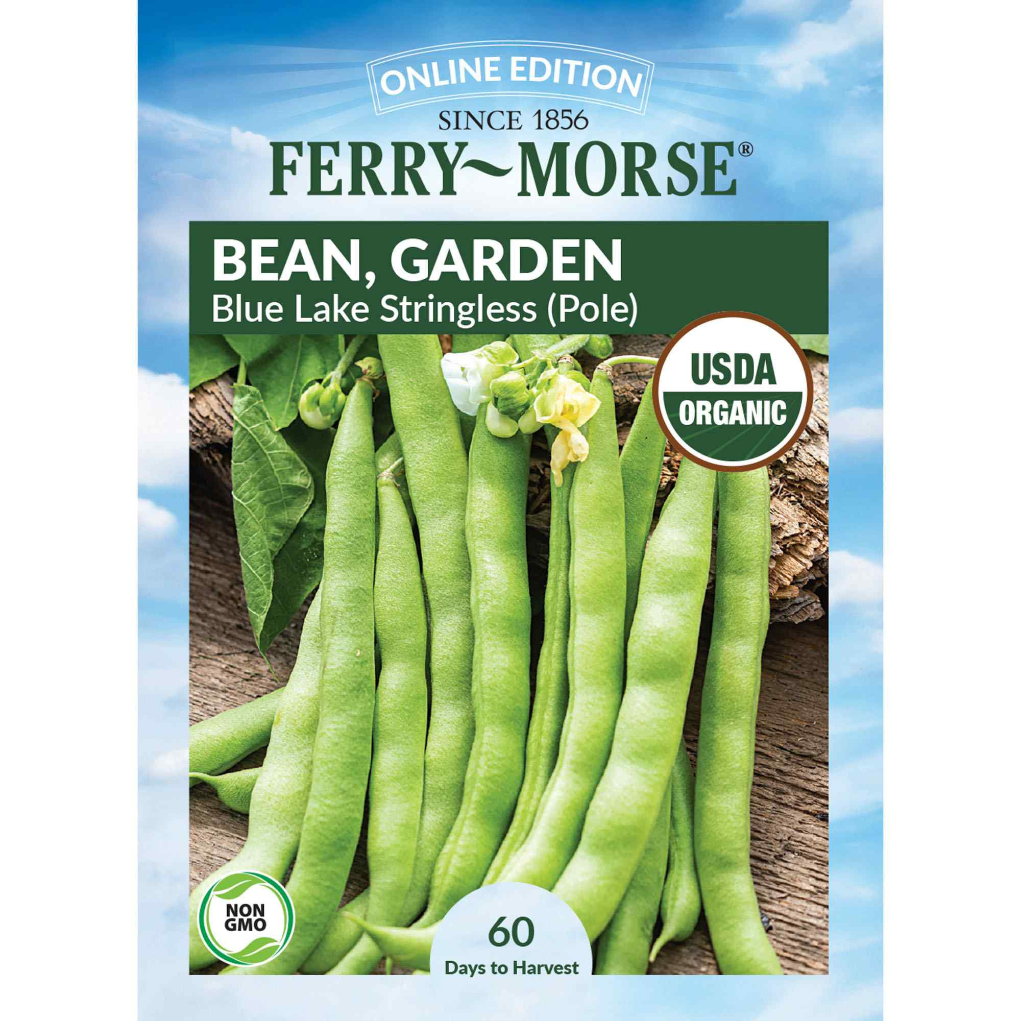Ferry-Morse Bean Seeds 22.8 Gram(s) | LC25.0788 | Lowe's