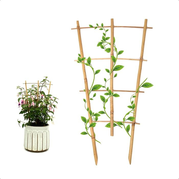 3Pack Bamboo Trellis 16 Inch Fan Shaped Small Plant Trellis for Indoor Potted Plants Climbing Mon... | Amazon (US)