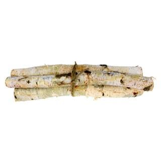 Birch Log Bundle by Ashland® | Michaels Stores
