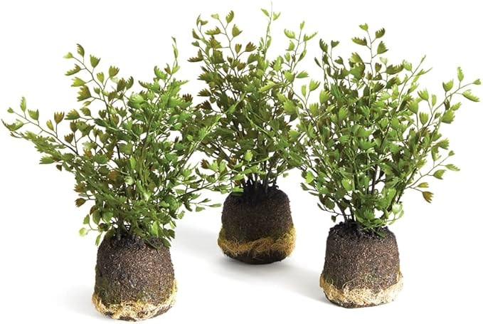 Napa Home & Garden Maidenhair Drop-INS, Set of 3 | Amazon (US)