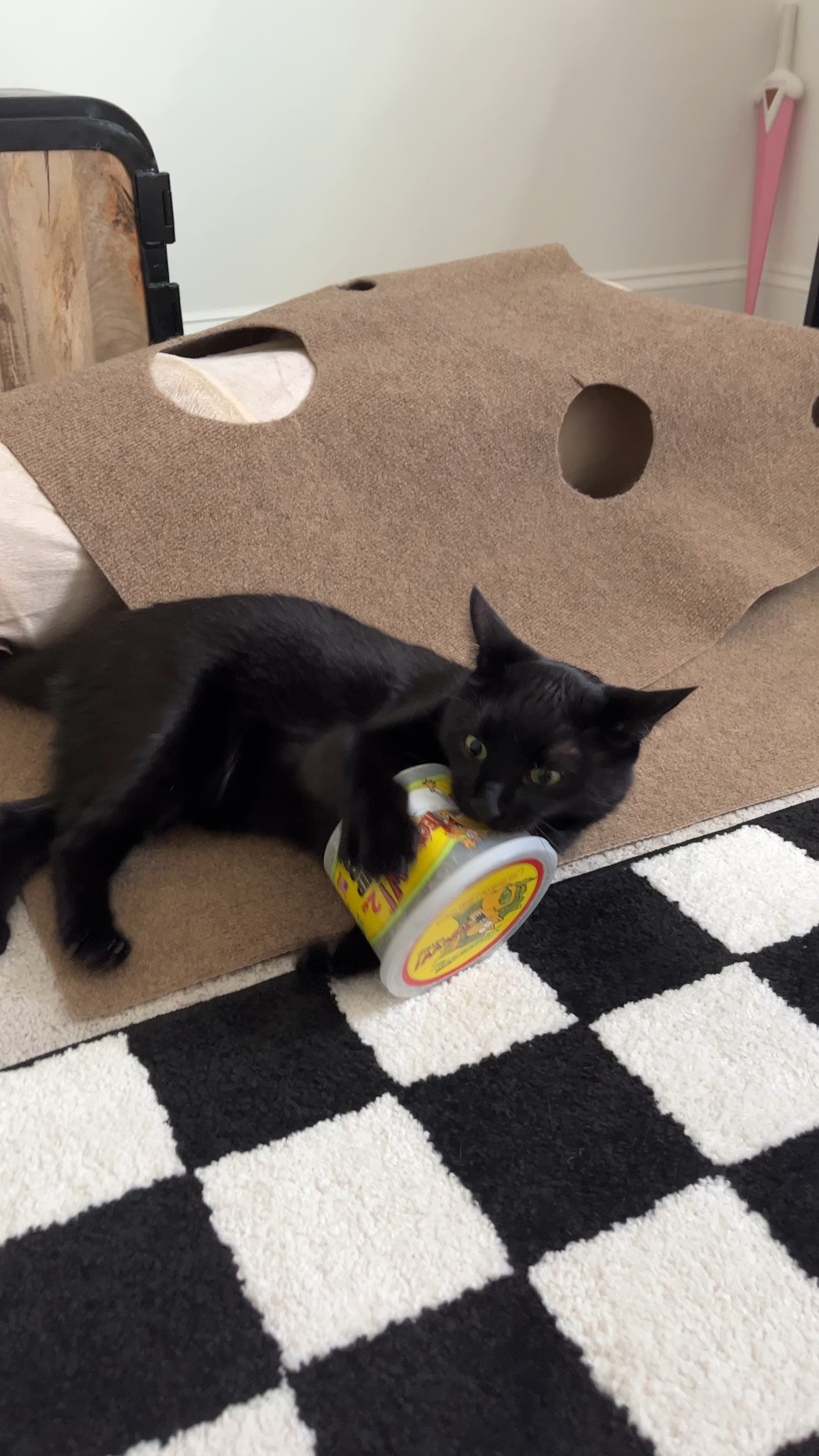 Loves his catnip