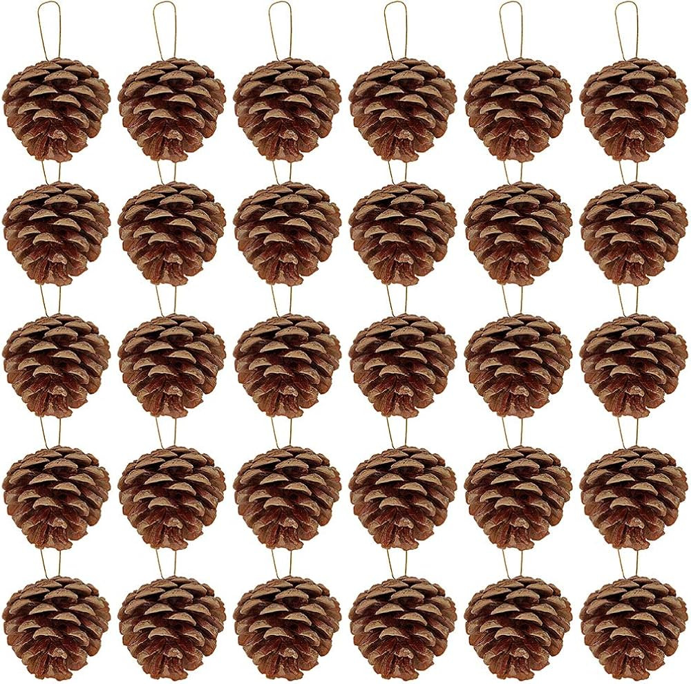 Supla 30 Pcs Christmas Hanging Real Preserved Pine Cones Ornaments 2"-3" Tall Christmas Tree Hang... | Amazon (US)