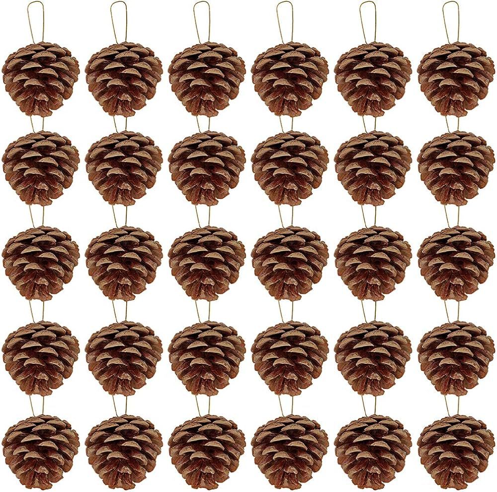 Supla 30 Pcs Christmas Hanging Real Preserved Pine Cones Ornaments 2"-3" Tall Christmas Tree Hang... | Amazon (US)