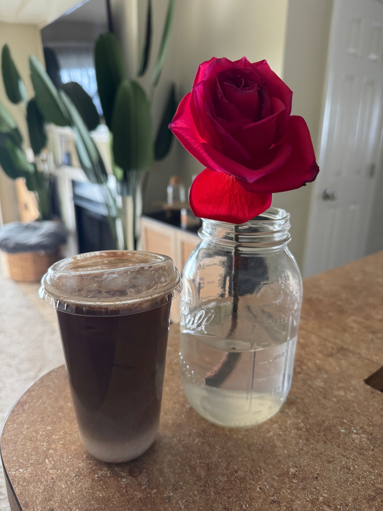 All Things Coffee! 

#LTKHome #LTKmomlife #LTKmorningroutine