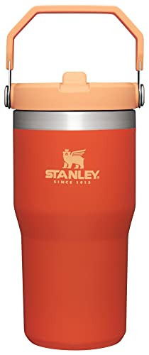 Stanley IceFlow Flip Straw Tumbler with Handle 20 oz | Twist On Lid and Flip Up Straw | Leak Resistant Water Bottle | Insulated Stainless Steel |BPA-Free | Tigerlily | Amazon (US)