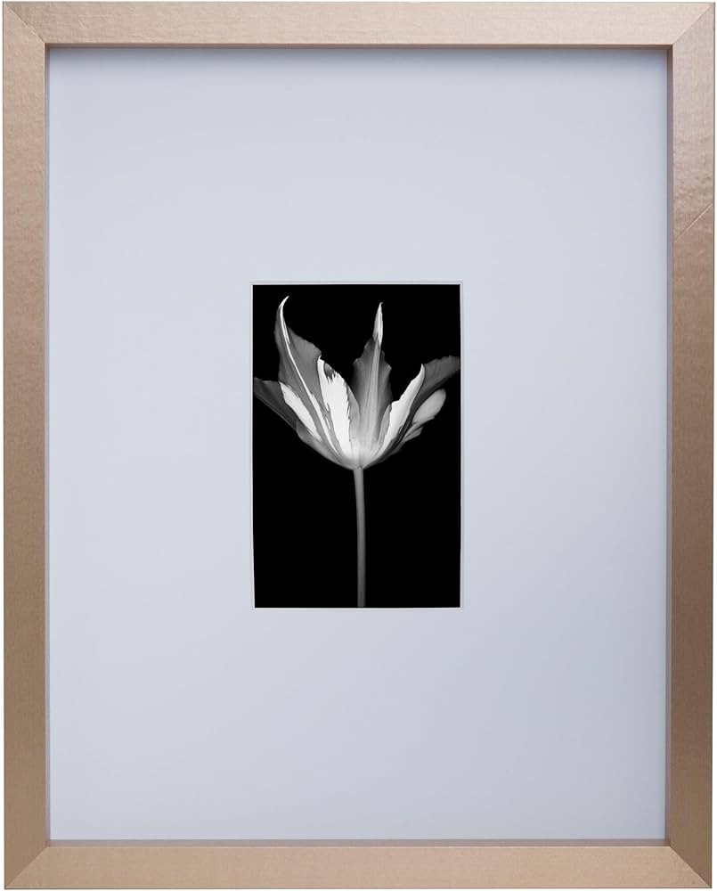 Mikasa Wood Gallery Wall Frame, 11x14 Matted to 4x6, 12x1.57x15 Inch, Champagne | Amazon (US)