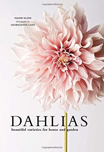 Dahlias: Beautiful Varieties for Home & Garden | Amazon (US)