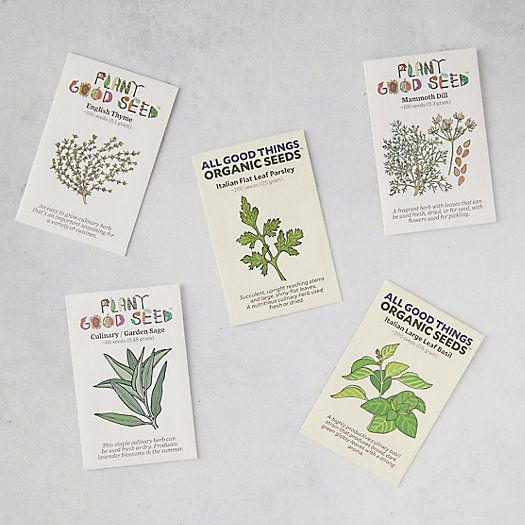 Herb Garden Seeds, 5 Packets | Terrain