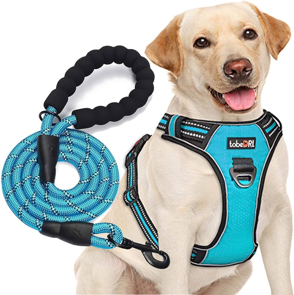 tobeDRI No Pull Dog Harness Adjustable Reflective Oxford Easy Control Medium Large Dog Harness wi... | Amazon (US)