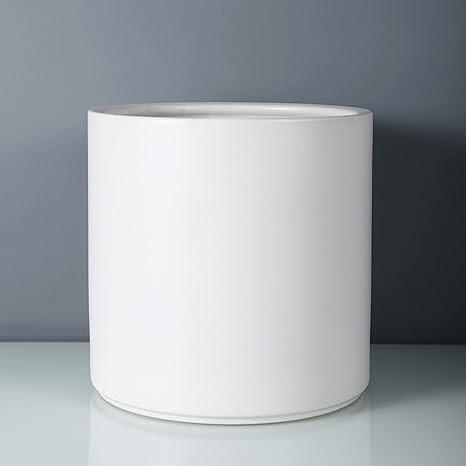 FOPAMTRI 6 Inch Plant Pot Matte White Ceramic Planter for Indoor Outdoor Plants Flowers Small Mod... | Amazon (US)