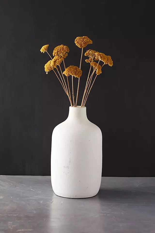 Dried Yarrow Bunch | Anthropologie (US)