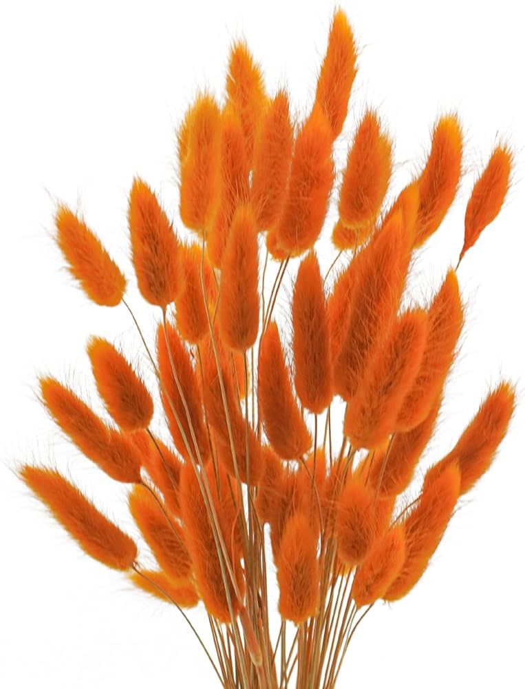 Uieke 17’’ Natural Bunny Tails Dried Flowers, 50 Pcs Dried Lagurus Ovatus, Dried Pampas Grass... | Amazon (US)