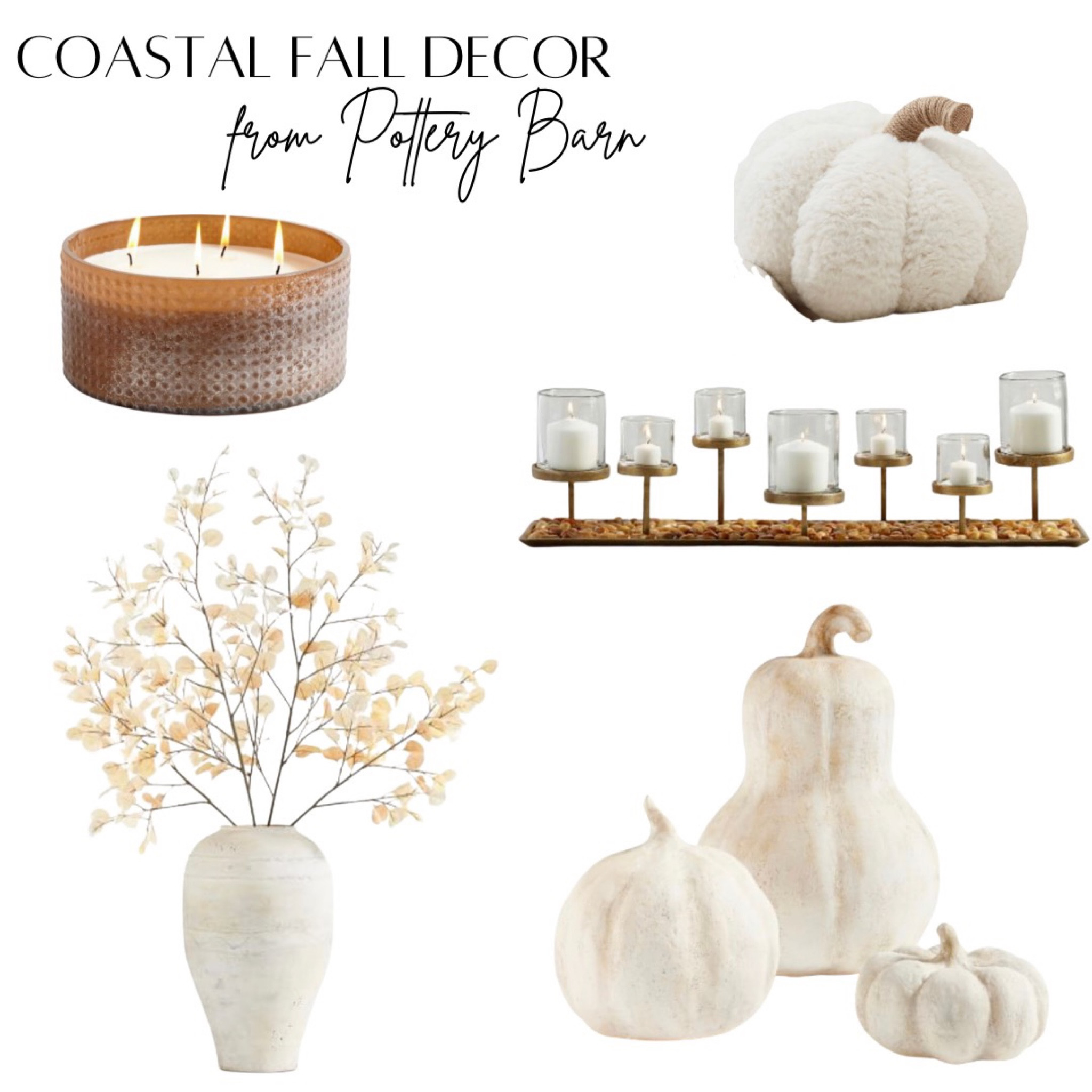 Pottery Barn finds 🍂



#LTKSeasonal #LTKhome