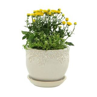 Ivy League 9.0 in. White Ceramic Planter with Saucer | The Home Depot