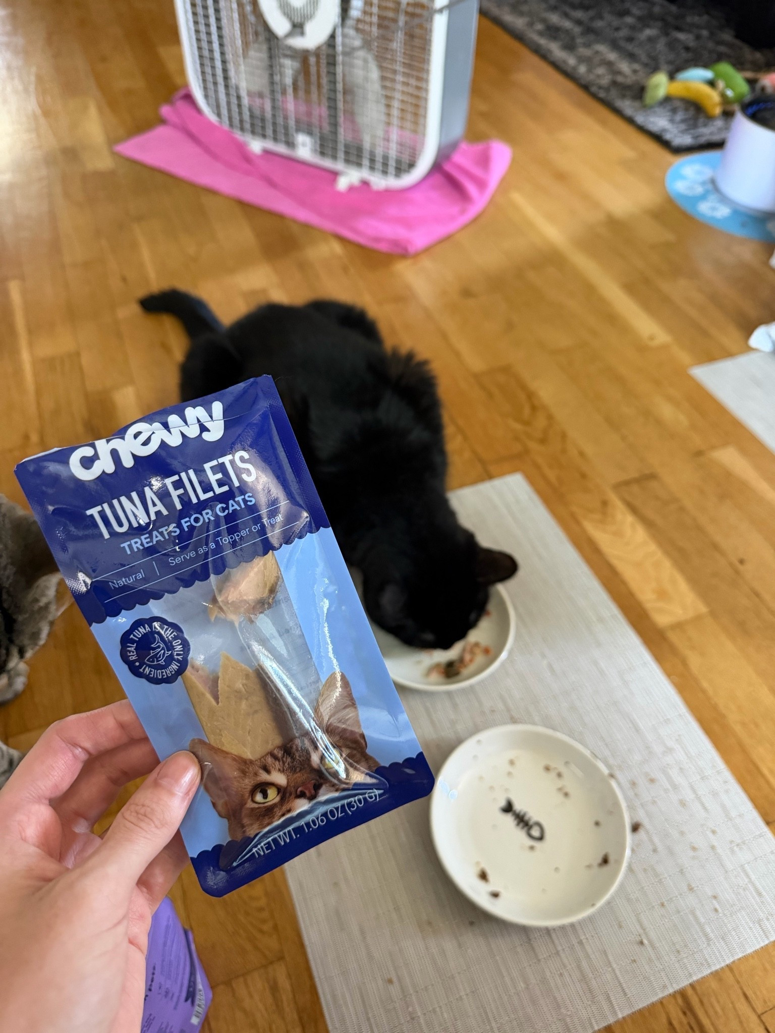 Luna loves her tuna filets @Chewy

#LTKfoodie #LTKdayinmylife