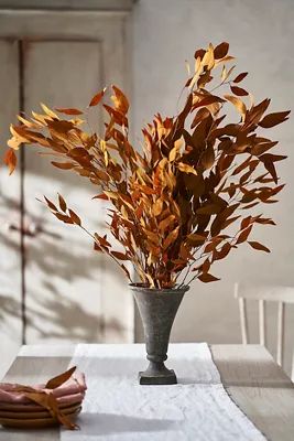 Preserved + Tinted Willow Eucalyptus Bunch | Anthropologie (US)