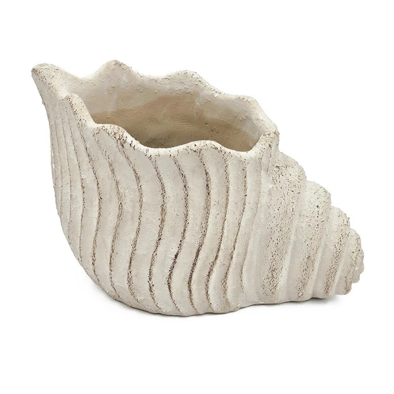 Sand And Cement Nautilus Shell Planter With Textured Beige Finish | Wayfair North America