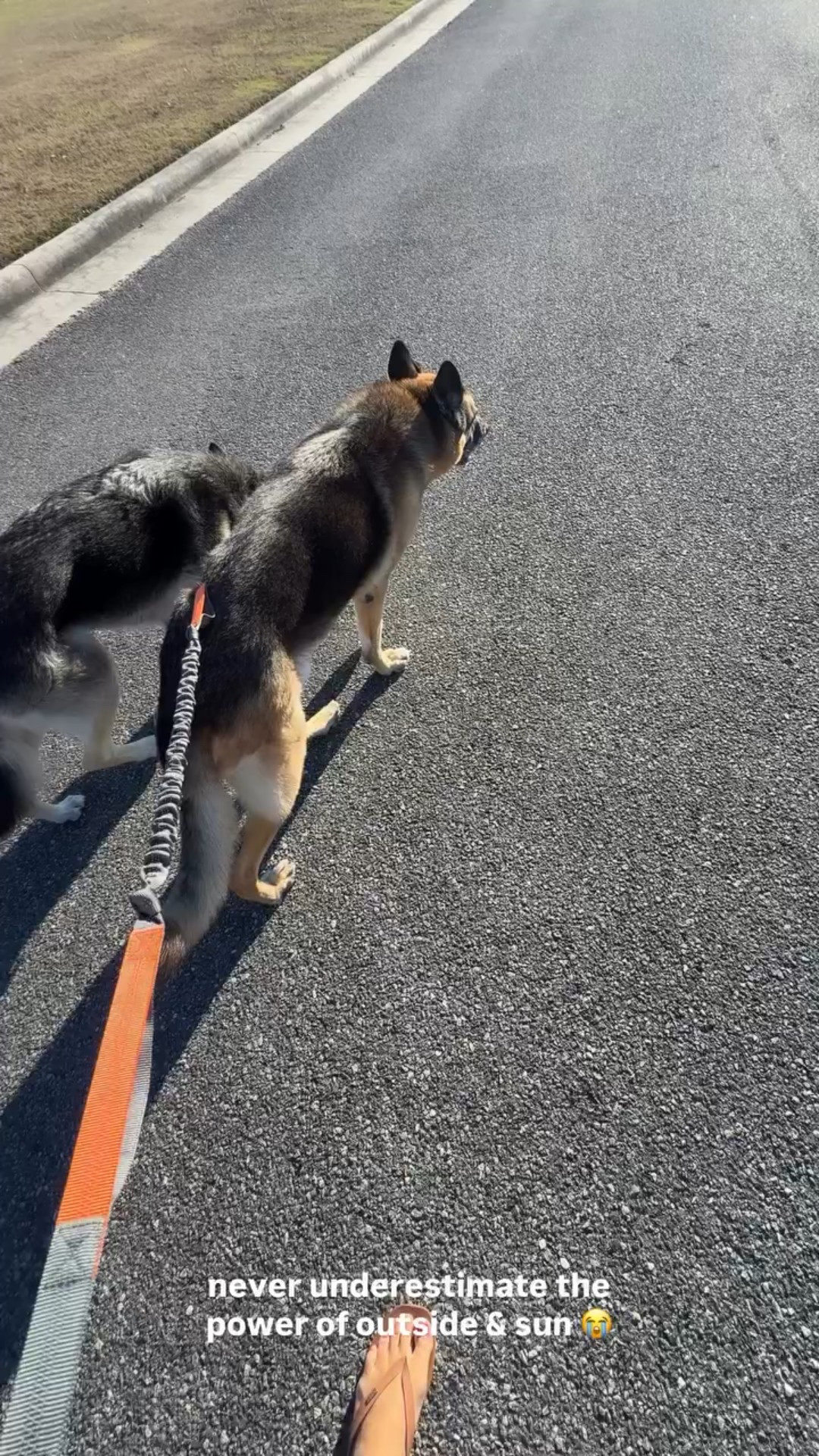Never underestimate the power of outside & sun 😭

I love walking the boys hands free! It makes walks so much easier!  

 

#LTKdayinmylife #LTKHome #LTKFindsUnder50
