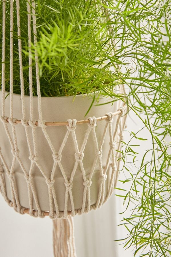 Ira Plant Hanger | Urban Outfitters (US and RoW)