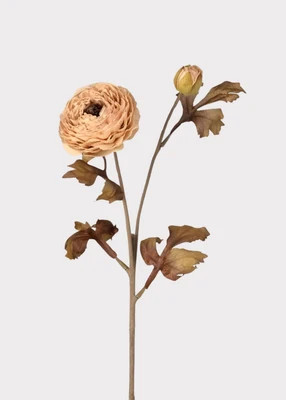 Autumn Beige Artificial Ranunculus Flower - 24" | Afloral