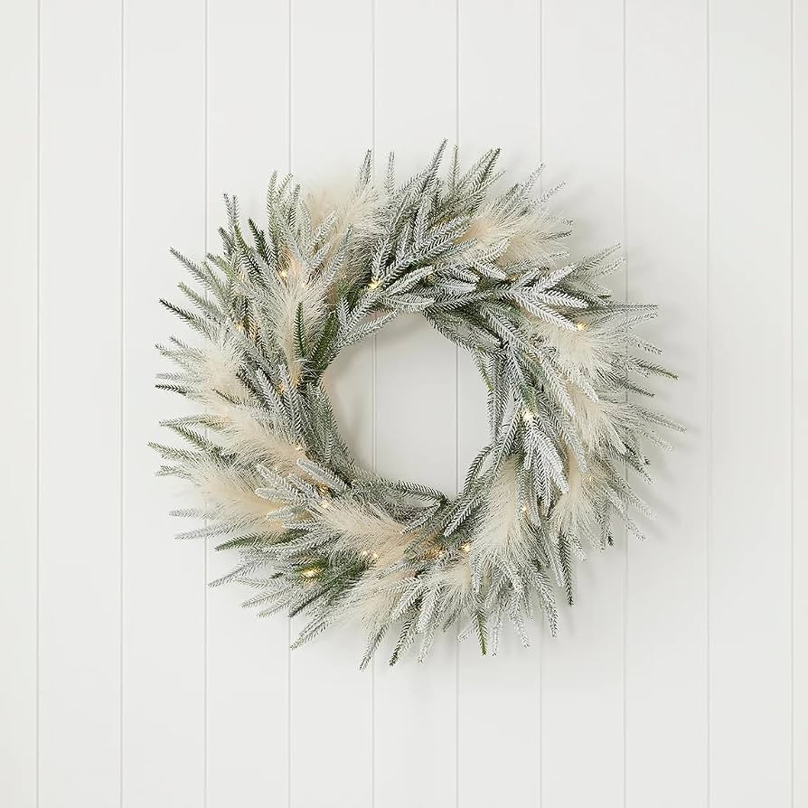Pine and Pampas Flocked 26" Pre-Lit PE Wreath with LED Lights | Indoor or Covered Outdoor | Fire-Resistant and Non-allergenic | Amazon (US)