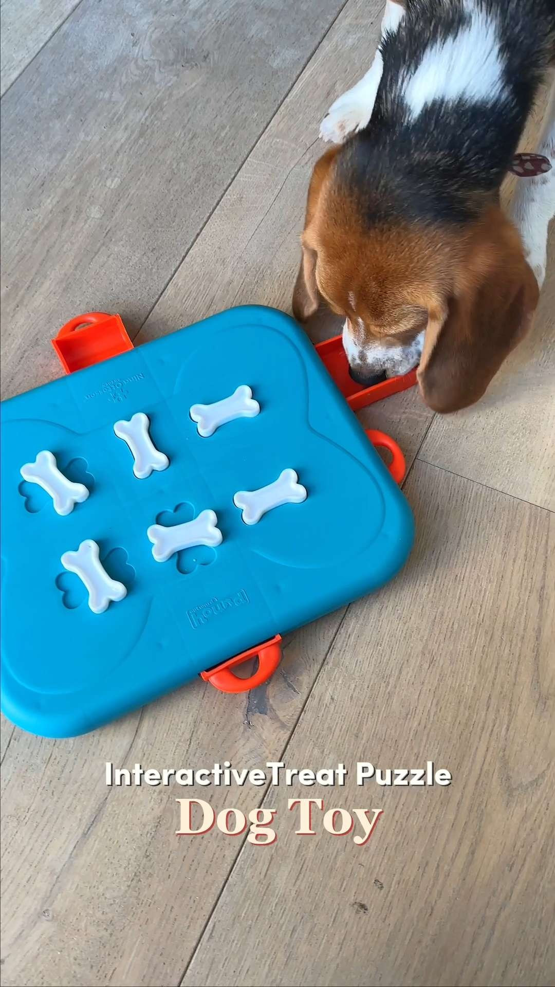 Give your dog a job they’ll actually love 🧠  The Outward Hound Interactive Treat Puzzle is the gold standard for canine enrichment. Great gift ideas for the new puppy parent or the "fast eater" who needs to slow down at mealtime to prevent bloating!  🦴 #OutwardHound #DogEnrichment #SmartDog #PetParentHacks #DogToys #PetWellness 

#LTKHome