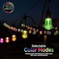 Enbrighten Vintage Seasons LED Warm White & Color Changing Café String Lights, Black, 24ft., 12 ... | Amazon (US)