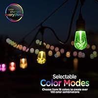 Enbrighten Vintage Seasons LED Warm White & Color Changing Café String Lights, Black, 24ft., 12 ... | Amazon (US)