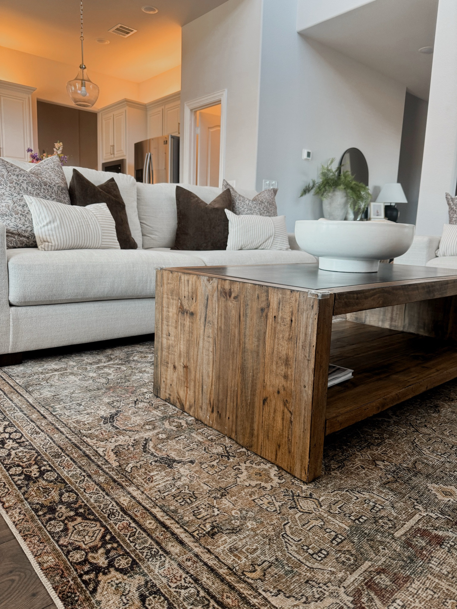 Living room rug
Couch 
Pillows + inserts 