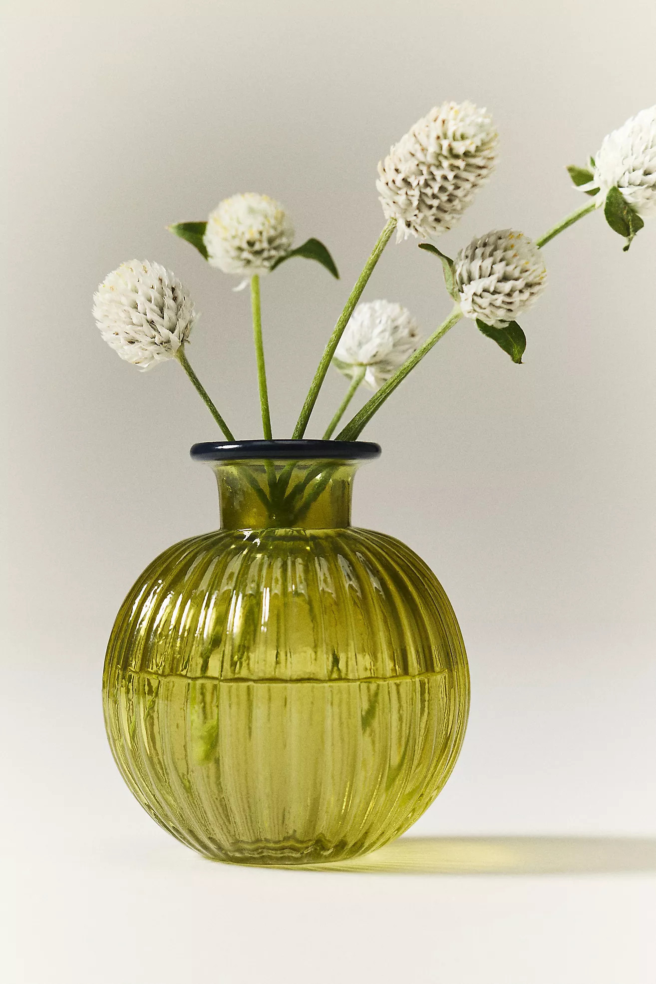 Maeve Glass Bud Vase | Anthropologie (US)