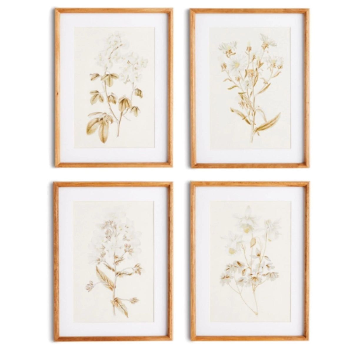 Set of Four Fleur De Blanc Prints in Natural Wood Frames | The Well Appointed House, LLC
