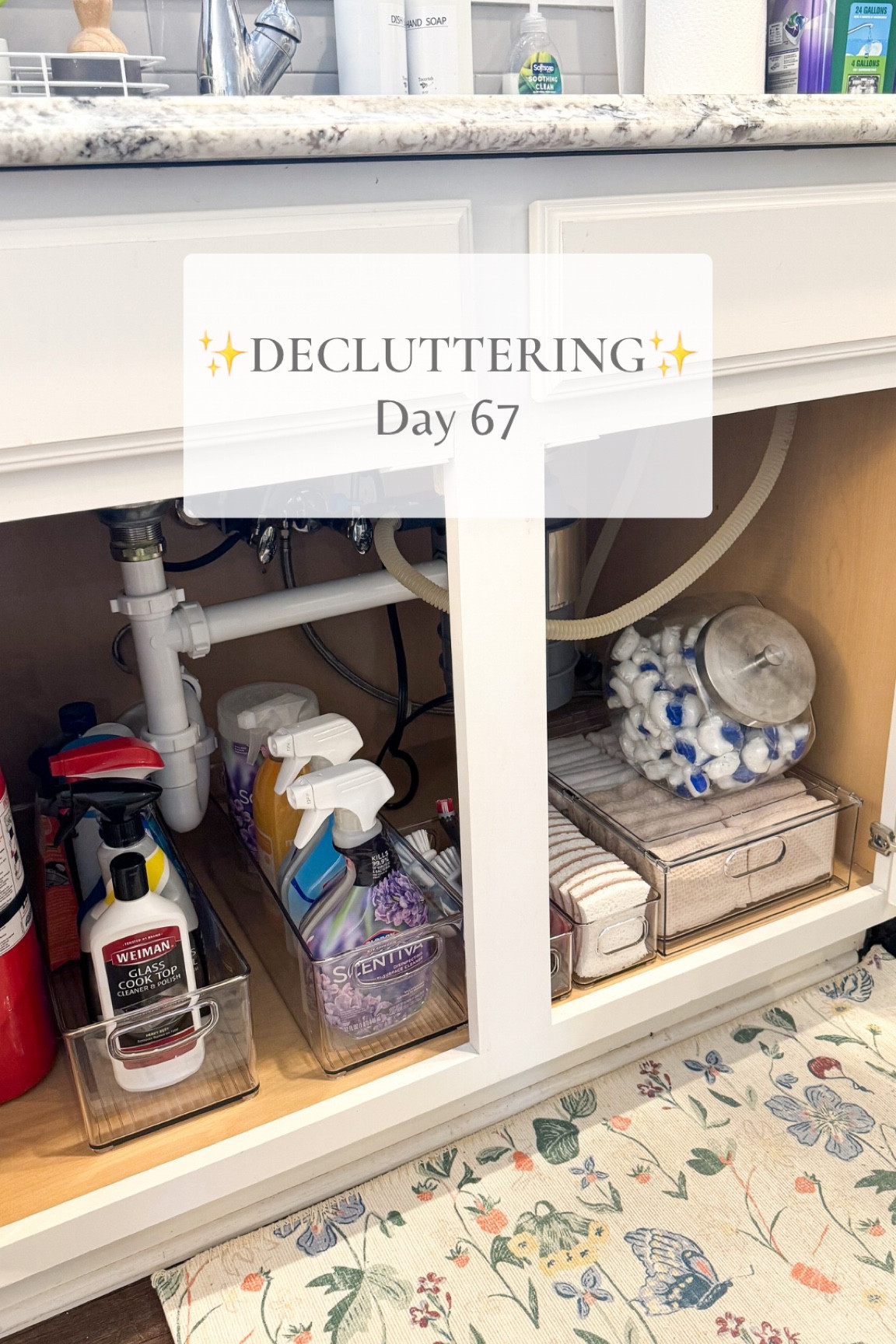 Did a little decluttering and organizing under our kitchen sink!
