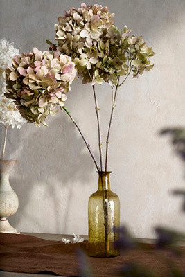 Preserved Hydrangea Grandiflora Bunch | Anthropologie (US)