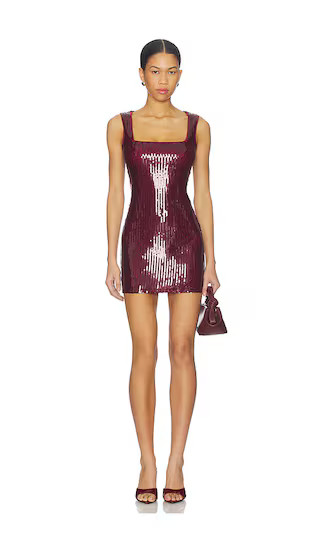 Delia Mini Dress in Oxblood | Revolve Clothing (Global)