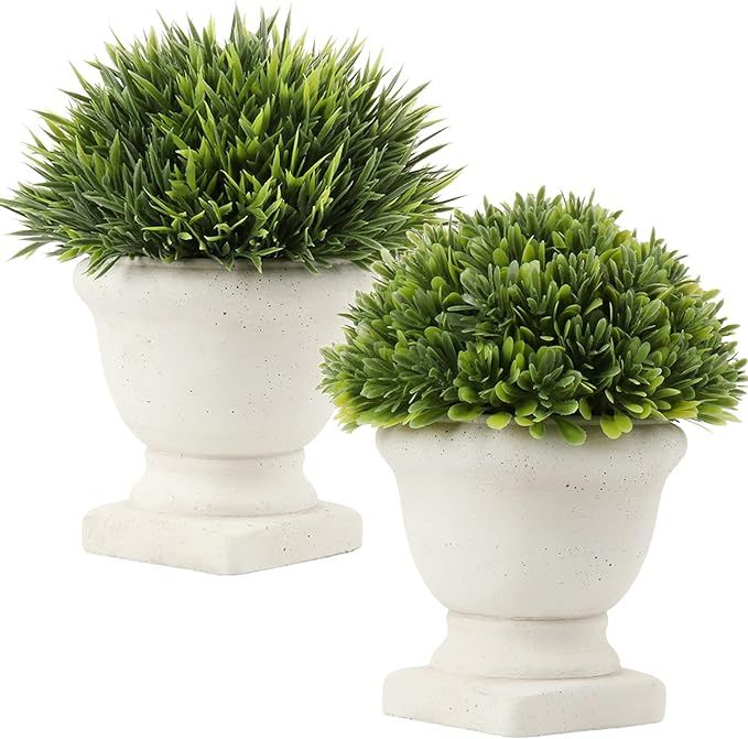 Artificial Mini Plants Fake Potted Plants Plastic Faux Greenery Grass Topiary Shrubs with Cement ... | Amazon (US)