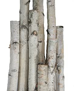 Wilson White Birch Pole Packs, Natural, Kiln Dried White Birch Poles (Small- 3, 4, 5 ft Long x 1.... | Amazon (US)
