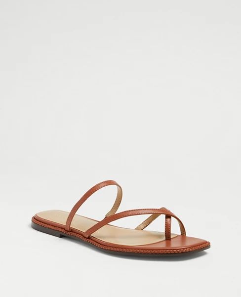 Everly Braided Leather Cross Strap Flat Slide Sandals | Ann Taylor (US)