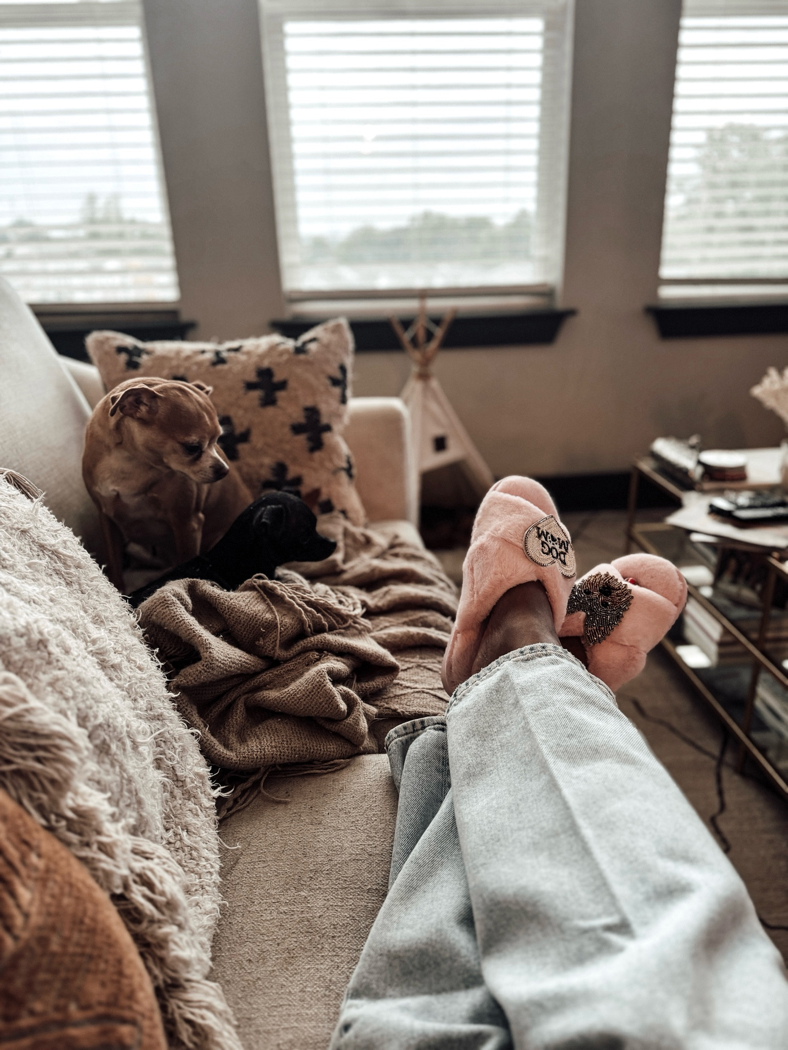 Fall living room. Good American 90’s Jeans. Dog mom faux fur slippers with brooches. #ltkpets

#LTKShoeCrush #LTKStyleTip #LTKHome