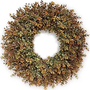 26'' Large Fall Wreath for Front Door, Porch, Window- Artificial Boxwood Leaves Outdoor Autumn Wr... | Amazon (US)