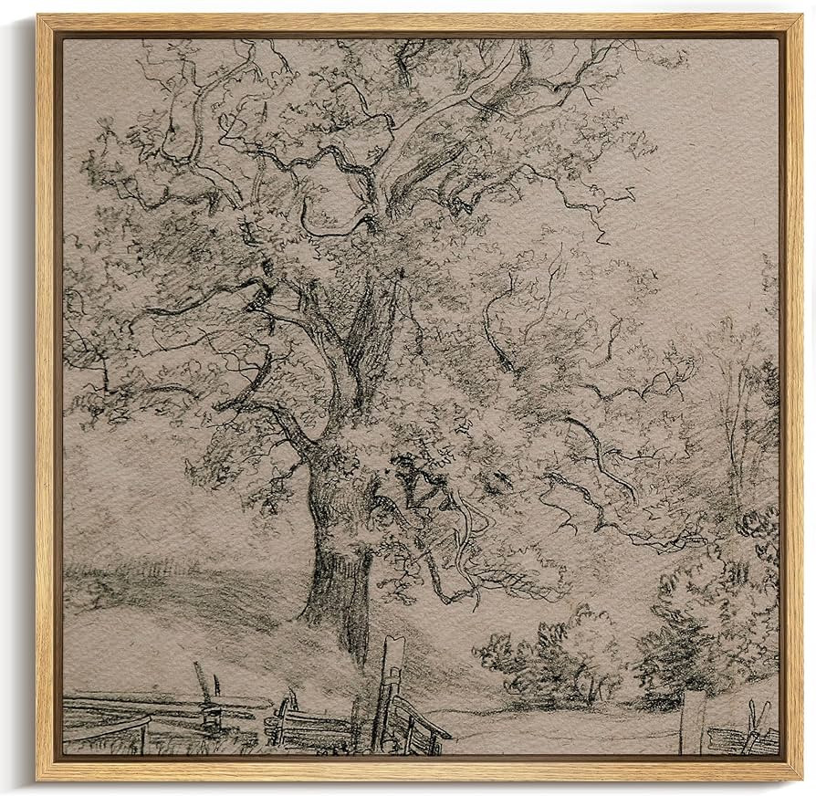 MUDECOR Framed Canvas Print Wall Art Vintage Majestic Oak Tree Sketch - Vintage Drawing Illustrat... | Amazon (US)