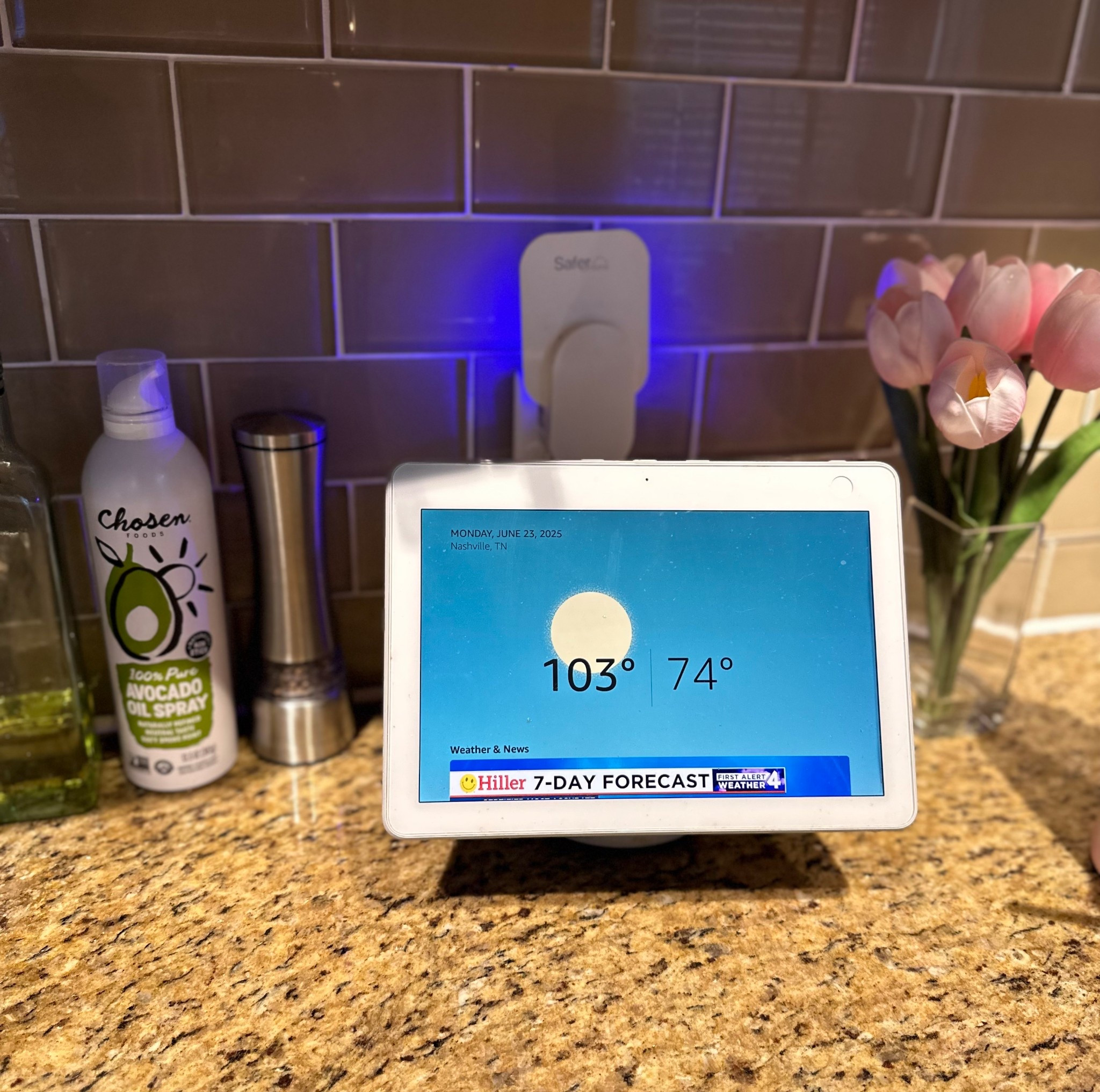 Home
Kitchen 
Apartment living 
Faux flowers
Indoor fly trap

#LTKHome