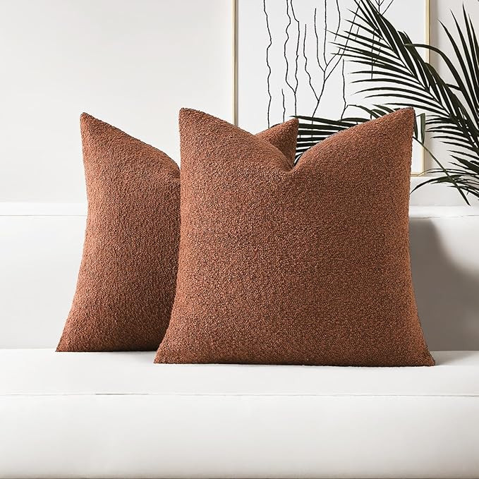 HAUSSY Set of 2 20x20 Decorative Throw Pillow Covers, Soft Cozy Textured Boucle Couch Cases, Home... | Amazon (US)