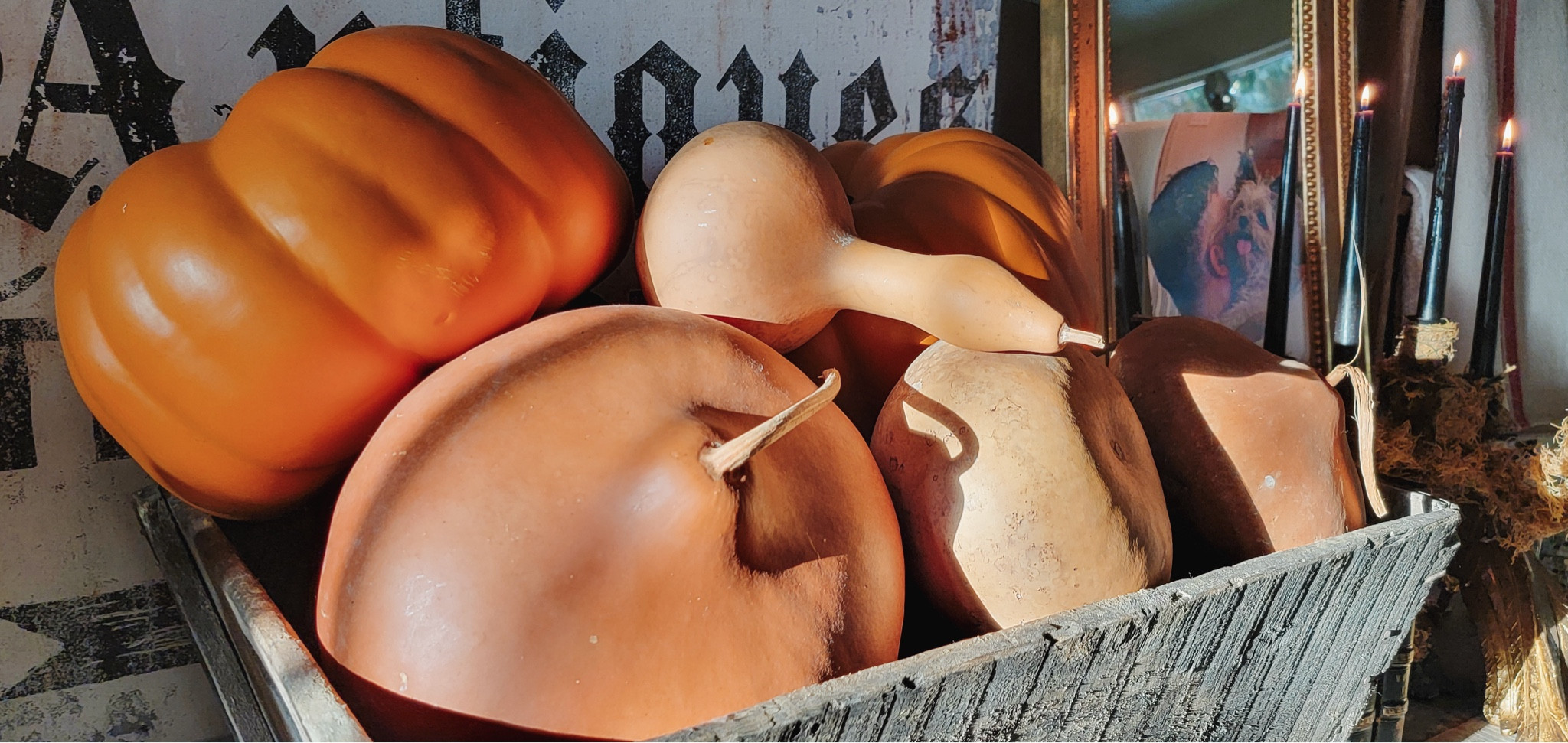 Fall vintage decor. A vintage European harvest crate filled with gourds.

Halloween decor
#falldecor
#halloweendecor
#vintagedecor

#LTKSeasonal #LTKHalloween #LTKHome