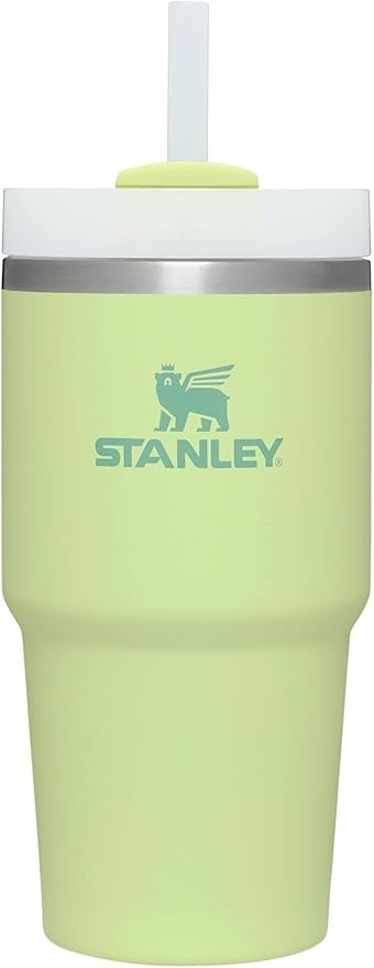 Stanley Quencher H2.0 FlowState Stainless Steel Vacuum Insulated Tumbler with Lid and Straw for W... | Amazon (US)