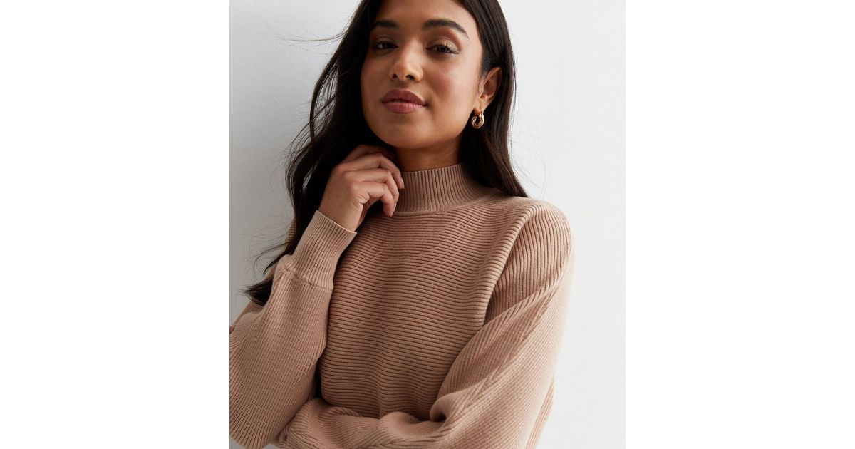Petite Camel Ribbed Knit High Neck Crop Jumper
						
						Add to Saved Items
						Remove from ... | New Look (UK)