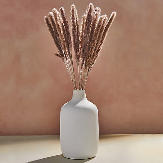 Preserved Fluffy Pampas Grass Bunch | Terrain